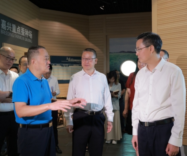 陳偉書記蒞臨調研歷史經典產業提質發(fā)展工作